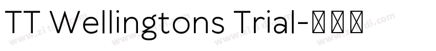 TT Wellingtons Trial字体转换